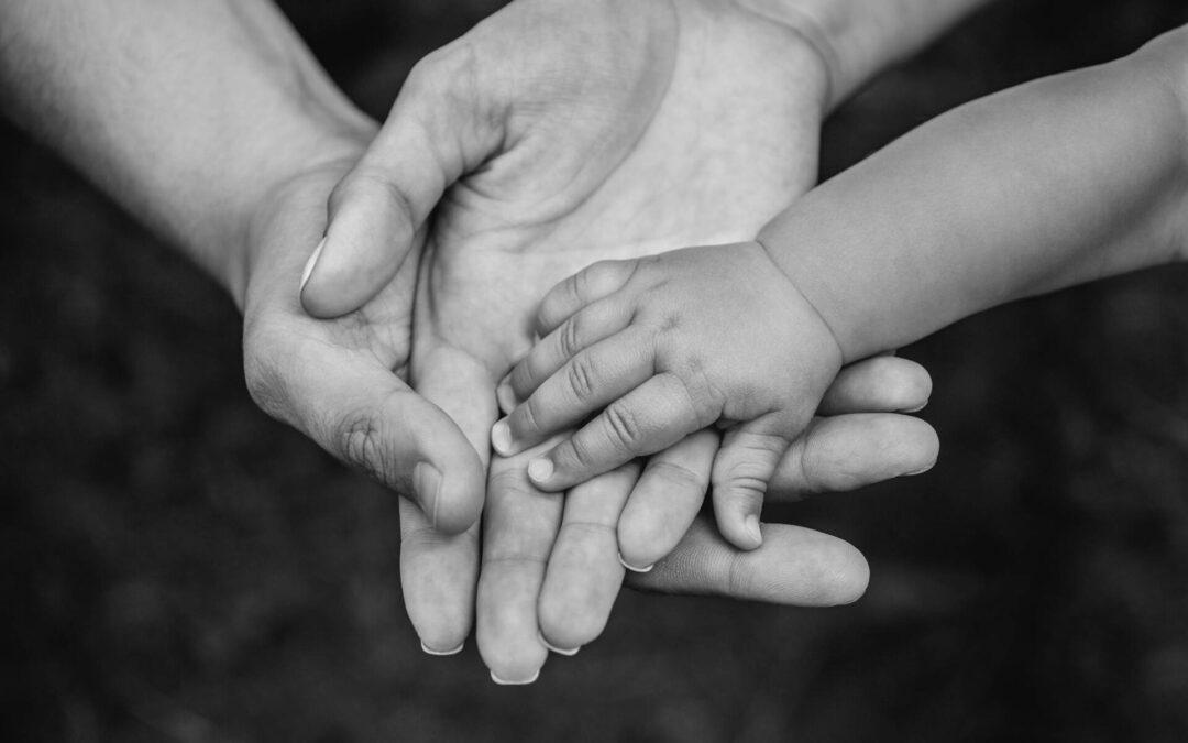Personal and Family Asset Protection